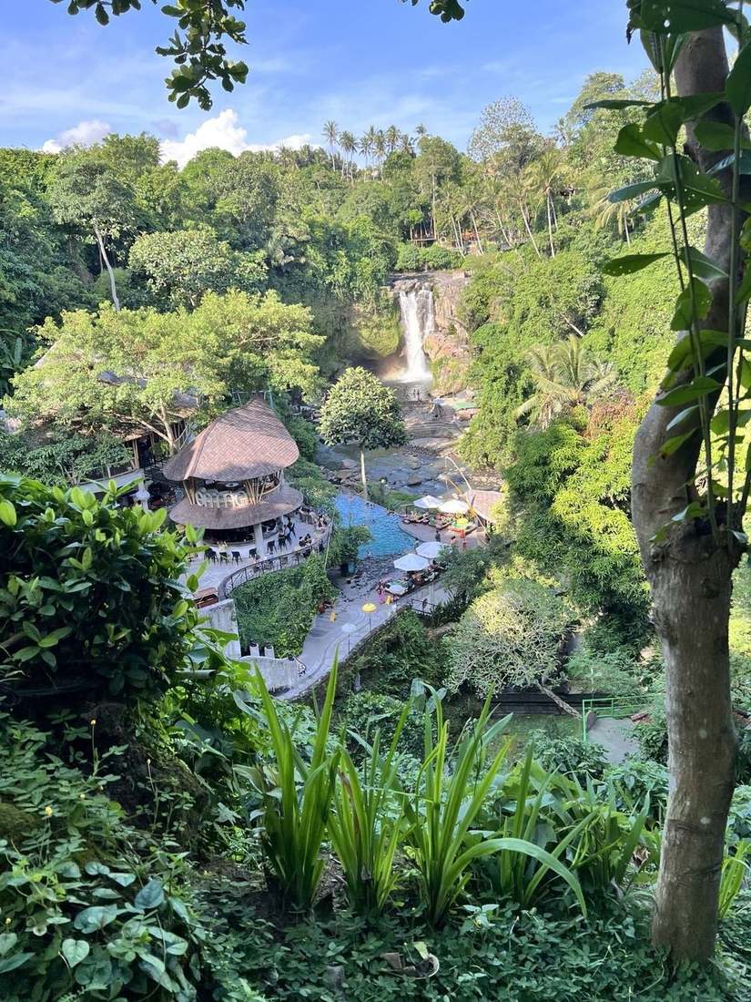 Bali waterfall and tropical forest